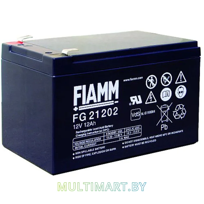Аккумулятор для ИБП FIAMM FG21202 (12В/12 А·ч)